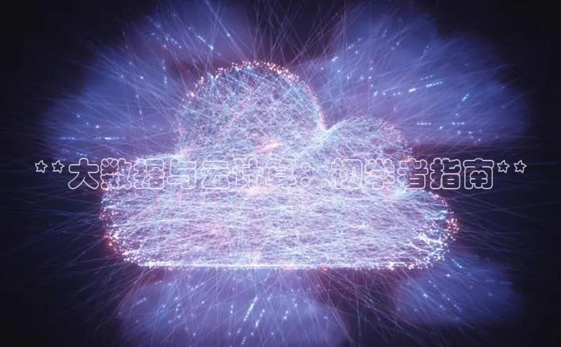 金年会金字招牌在线入口下载百度翻译**大数据与云计算：初学者指南**