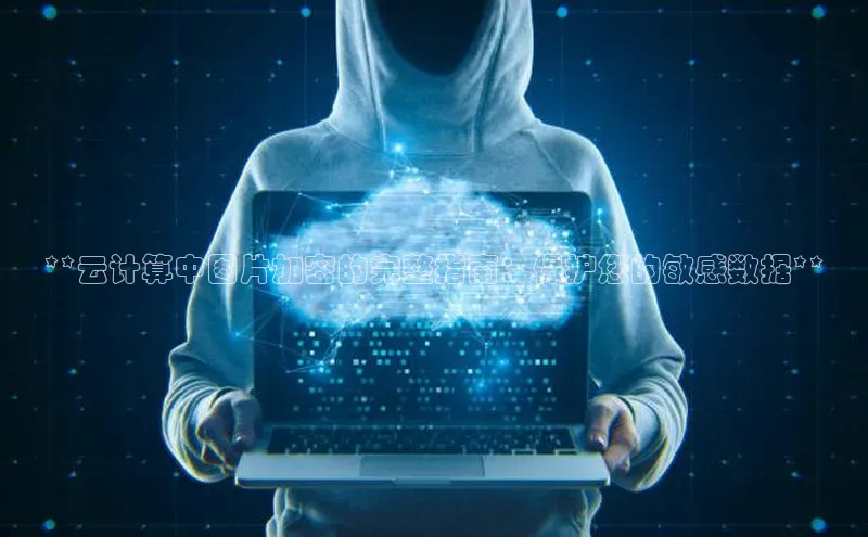 金年会官方网站入口百度手机卫士**云计算中图片加密的完整指南：保护您的敏感数据**
