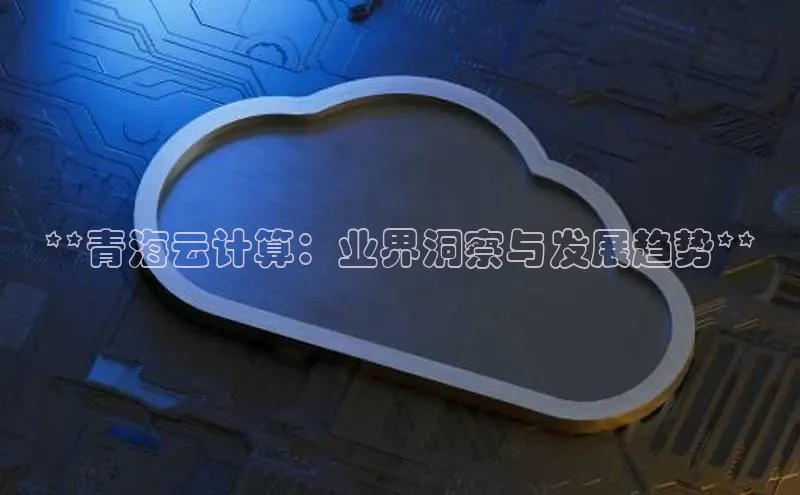 金年会电子游戏入口京东**青海云计算：业界洞察与发展趋势**