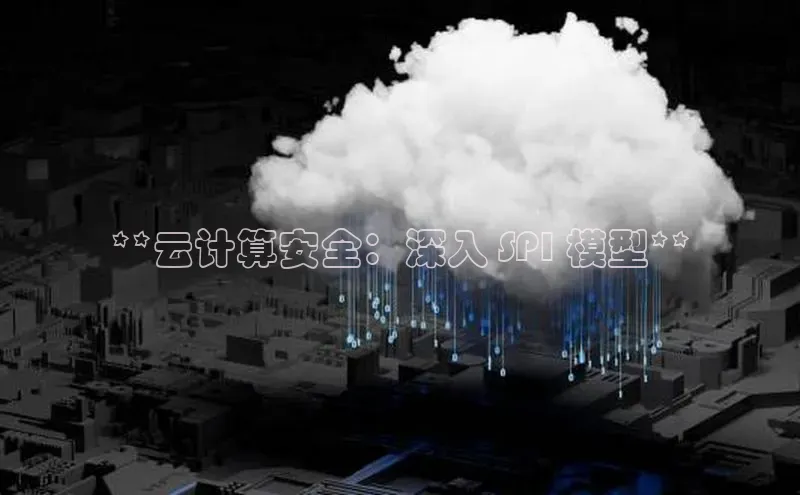 jinnian金年会小度商城**云计算安全：深入 SPI 模型**