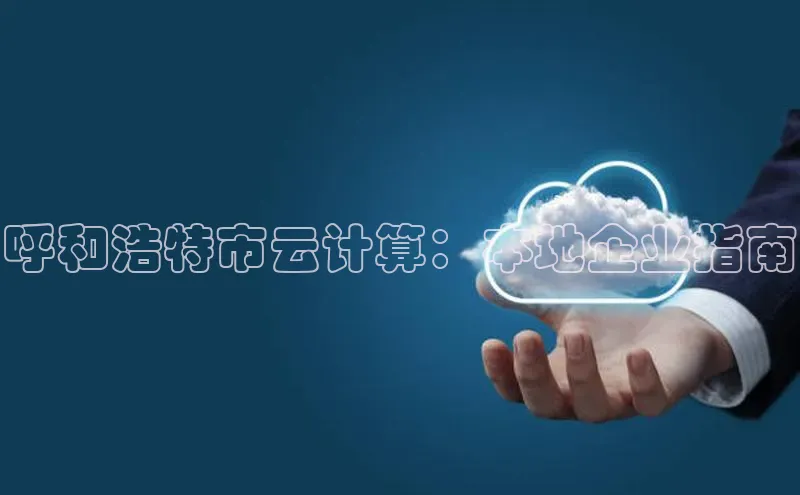 金年会电子游戏app华扬联众呼和浩特市云计算：本地企业指南