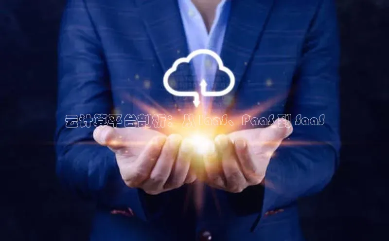 金字招牌诚信至上今年会普信公司云计算平台剖析：从 IaaS、PaaS 到 SaaS
