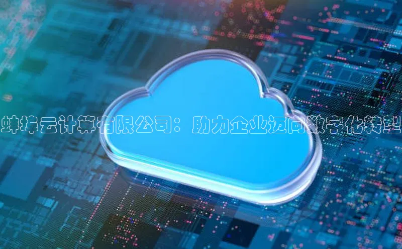 金年会诚信信誉至上雷柏科技蚌埠云计算有限公司：助力企业迈向数字化转型