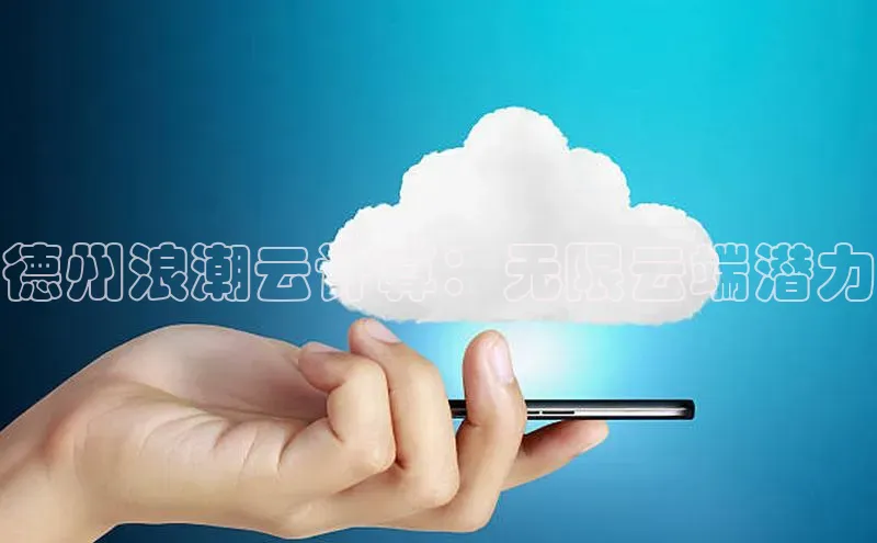 金年会电子游戏入口百度智能门户德州浪潮云计算：无限云端潜力